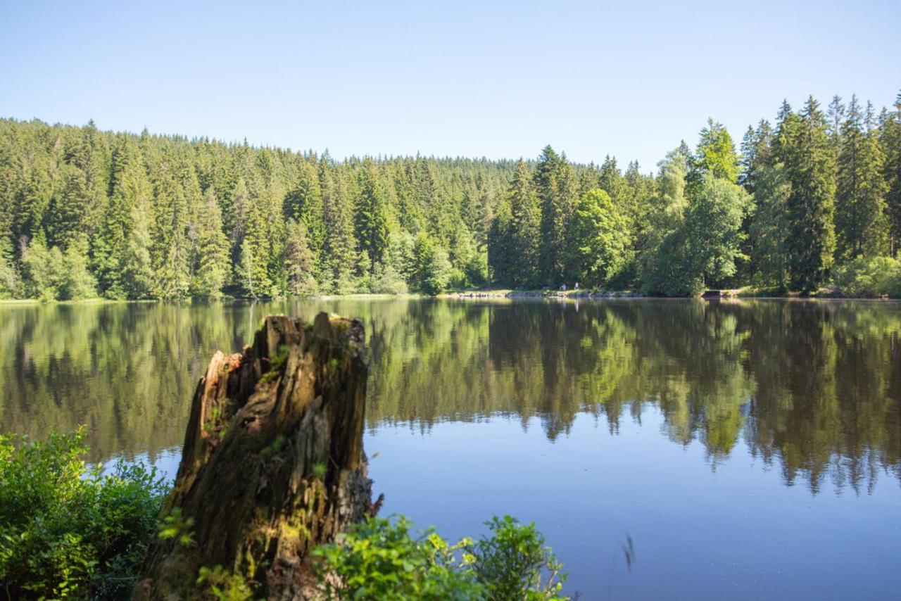 Ferienhaus Voelkle Hinterzarten Exteriör bild