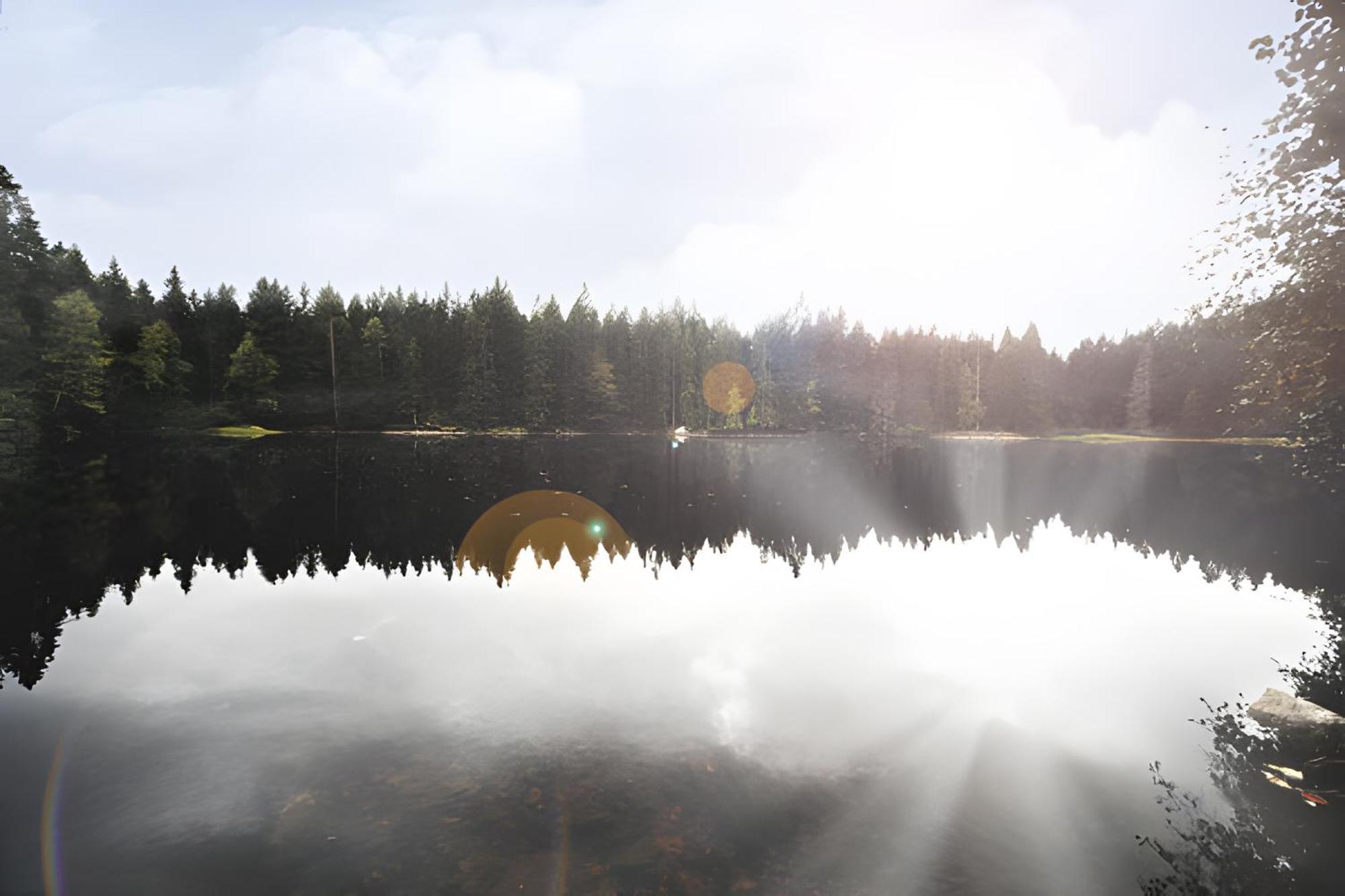 Ferienhaus Voelkle Hinterzarten Exteriör bild